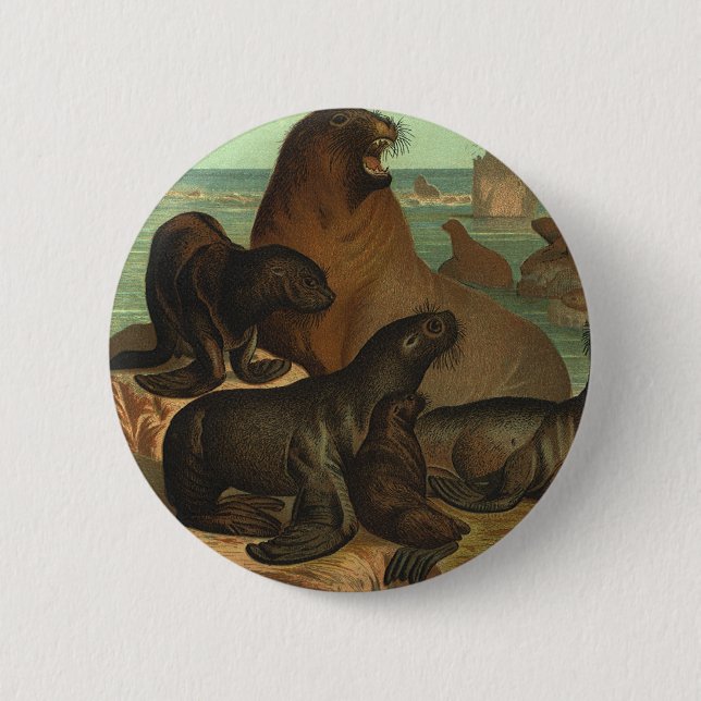 Vintage Seelöwen am Strand, Meerestiere Button (Vorderseite)