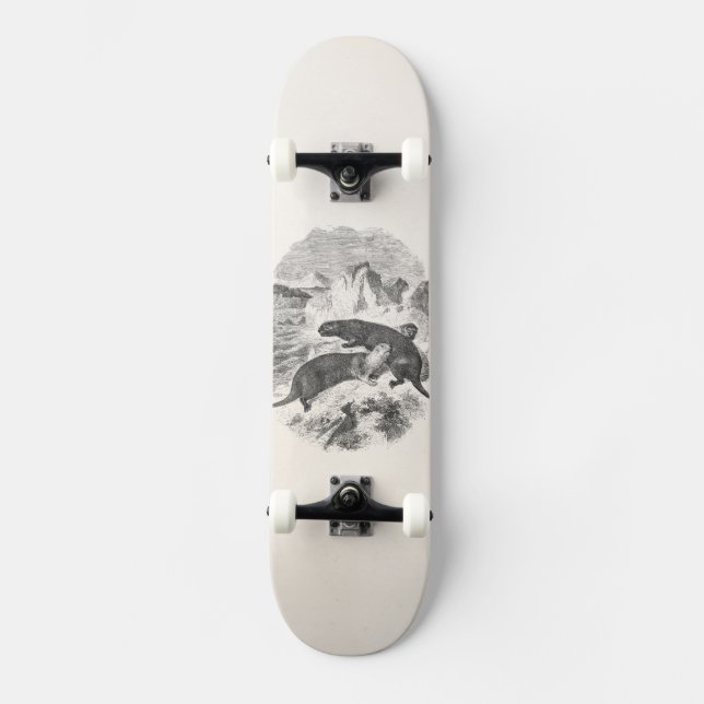 Vintage Seeotter 1800s Otter-Illustration Skateboard (Vorderseite)