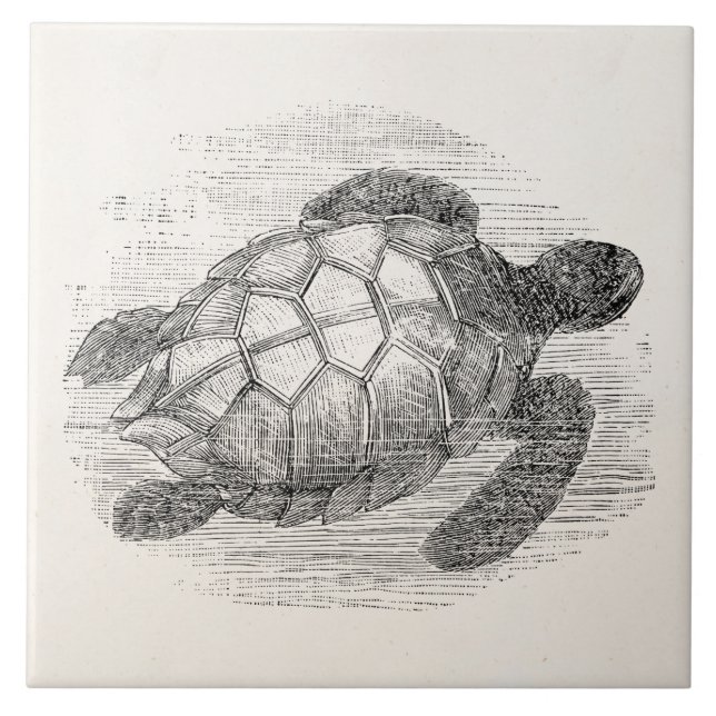 Vintage Seeschildkröte-personalisierte Fliese (Vorderseite)
