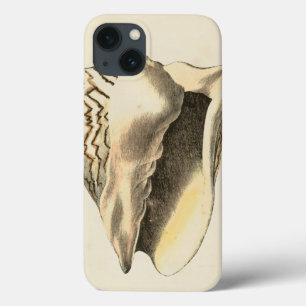 Vintage Sepia Conch-Muschel title_seo2