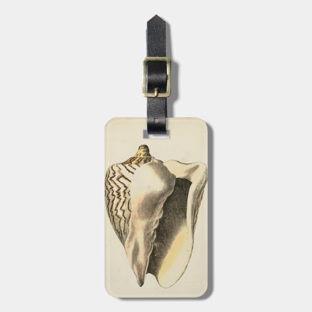 Vintage Sepia Conch-Muschel Gepäckanhänger (Vorderseite vertikal)