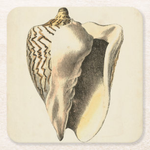 Vintage Sepia Conch-Muschel Rechteckiger Pappuntersetzer
