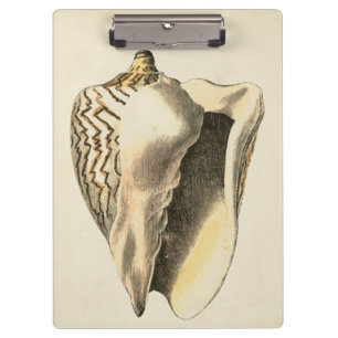 Vintage Sepia-Tritonshorn-Muschel Klemmbrett