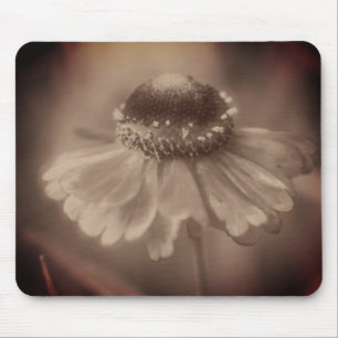 Vintage Sepia Zinnienblume Mousepad