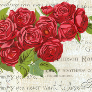Vintage Shabby Chic Roses Rouges Antique Script