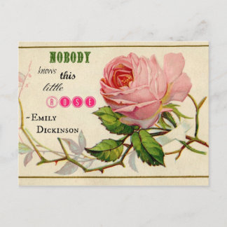 Vintage Shabby Pink Rose Postkarte