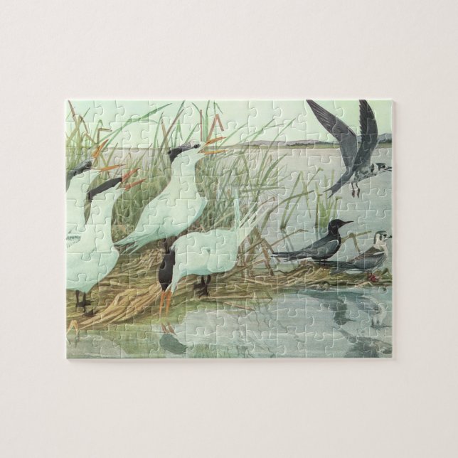 Vintage Shorebirds in Marsh von Louis Futes (Horizontal)