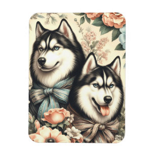Vintage sibirische Husky-Illustration Magnet