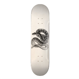 Vintage Skateboard