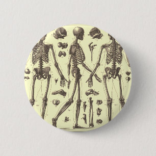 Vintage Skeleton Diagramme Button