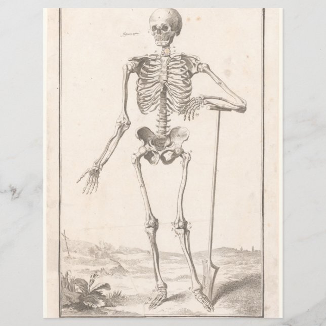 Vintage skeleton scrapbooking ephemera page (Devant)