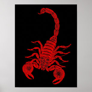 Vintage Skorpion-Illustration - Rote Skorpione der Poster