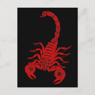Vintage Skorpion-Illustration - Rote Skorpione der Postkarte