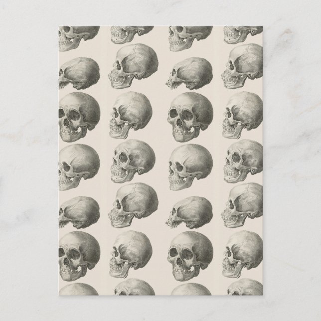 Vintage Skull-Illustrationen Postkarte (Vorderseite)