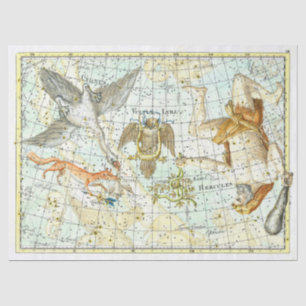 Vintage Sky Map Constellation of Hercules Seidenpapier