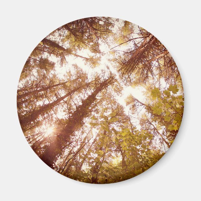Vintage Sommerbaumen Magnet (Vorne)