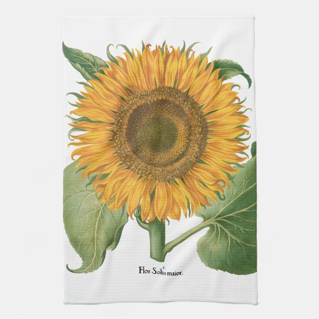 Vintage Sonnenblume Blume von Basilius Besler Geschirrtuch (Vertikal)