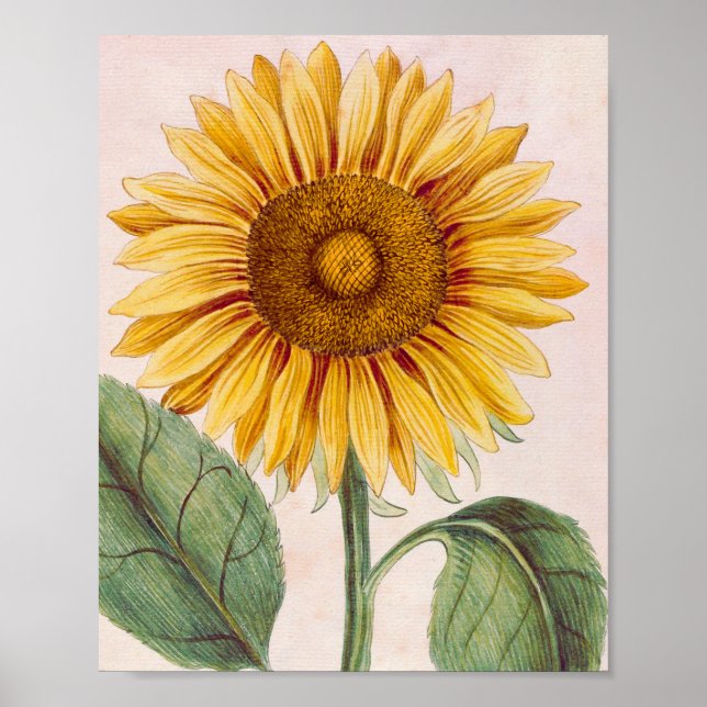 Vintage Sonnenblume Happy Blume Poster (Vorne)