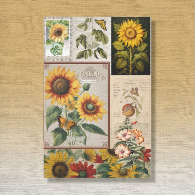 Vintage Sonnenblume Schmetterling Seed Packet Ephe Seidenpapier (Von Creator hochgeladen)