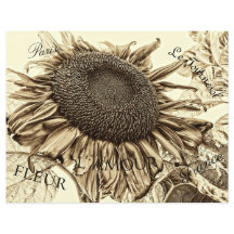 Vintage Sonnenblume Sepia Tone Alte Skriptdekoupag