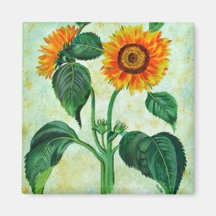 Vintage Sonnenblumen Botanische Kunst Magnet