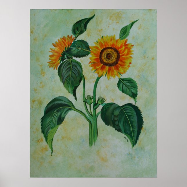 Vintage Sonnenblumen Botanische Kunst Poster (Vorne)