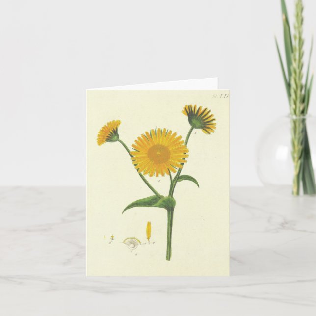 Vintage Sonnenblumen-Mitteilungskarten Dankeskarte (Vorderseite)