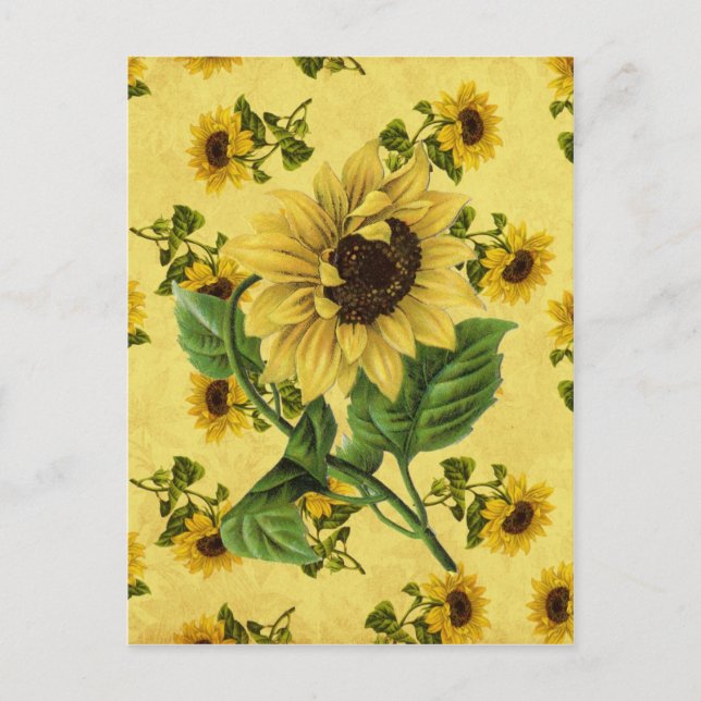 Vintage Sonnenblumen Postkarte (Vorderseite)