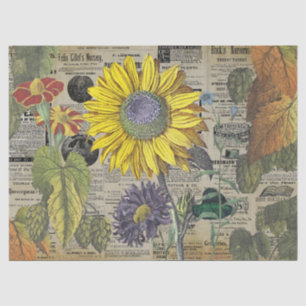 Vintage Sonnenblumenanzeigen Seidenpapier