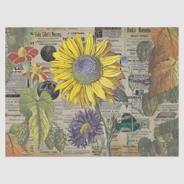 Vintage Sonnenblumenanzeigen Seidenpapier (Vorderseite)