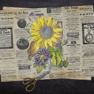 Vintage Sonnenblumenanzeigen Seidenpapier