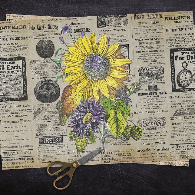 Vintage Sonnenblumenanzeigen Seidenpapier (Von Creator hochgeladen)