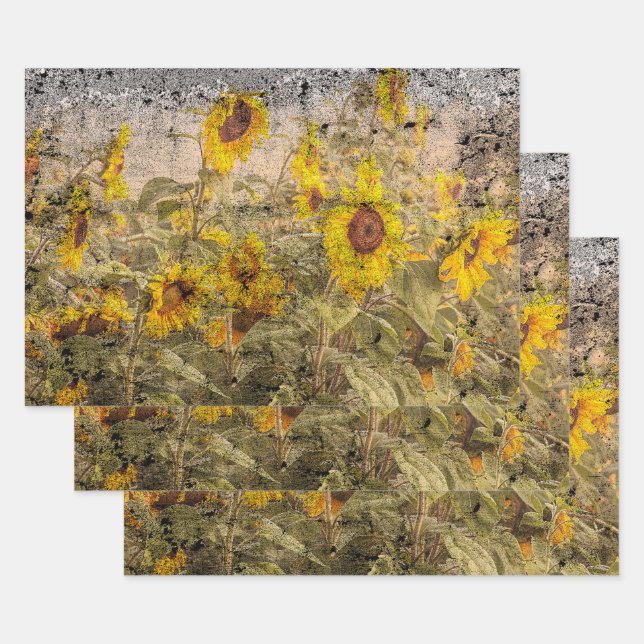 Vintage Sonnenblumenfelgelbe Grunge Textur Geschenkpapier Set (Set)