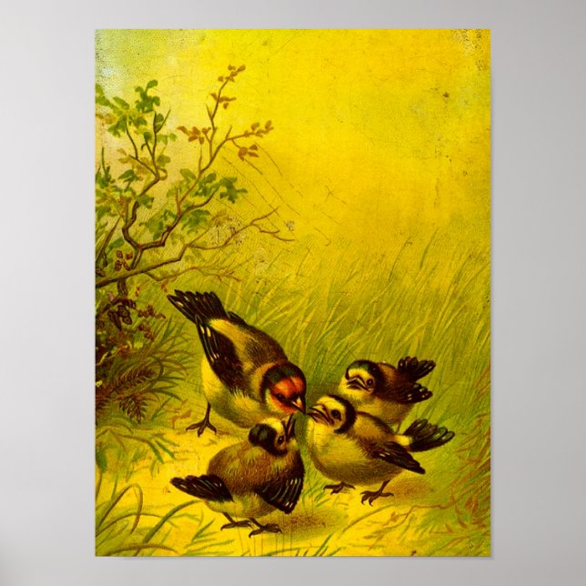 Vintage Sparrows Canvas Print Poster (Vorne)