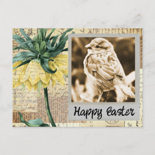 Vintage-Spatz-Oster-Collage-Postkarte Postkarte