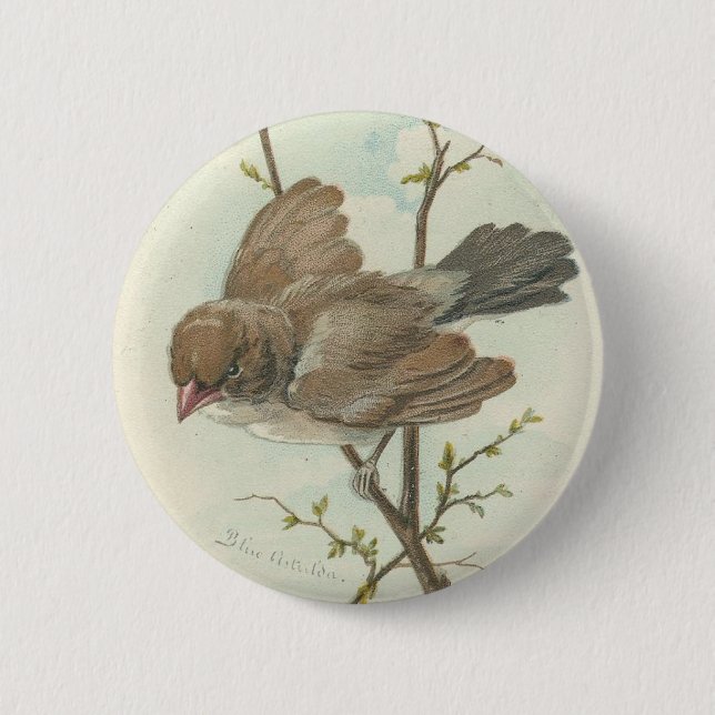 Vintage Sperling Button (Vorderseite)