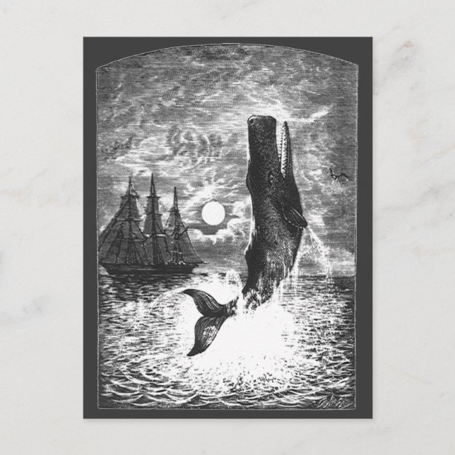 Vintage Spermienwale, Meerestiere Postkarte (Vorderseite)