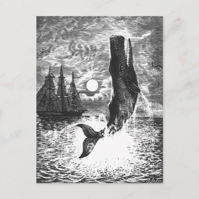 Vintage Spermienwale, Meerestiere Postkarte (Vorderseite)
