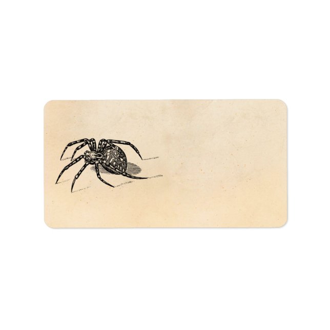 Vintage Spider Illustration Spiders Template für d Adressaufkleber (Vorne)