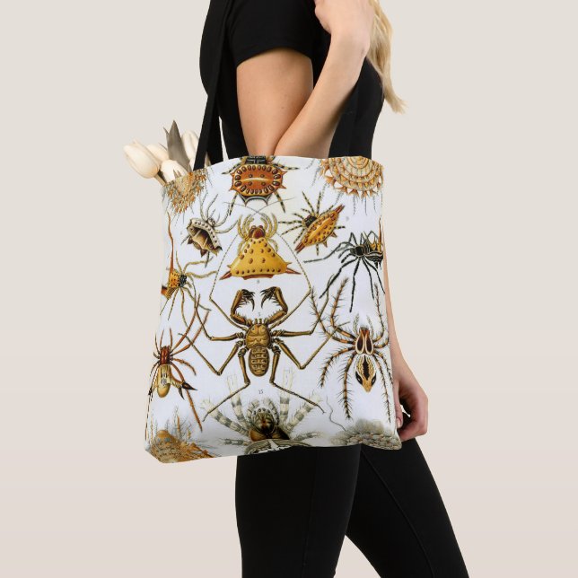 Vintage Spinnen oder Arachniden von Ernst Haeckel Tasche (Von Nahem)