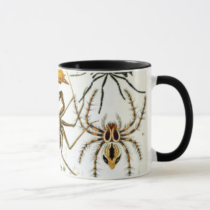 Vintage Spinnen oder Arachniden von Ernst Haeckel Tasse