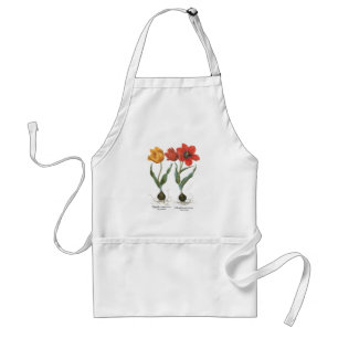 Vintage Spring Tulip Blume von Basilius Besler Schürze