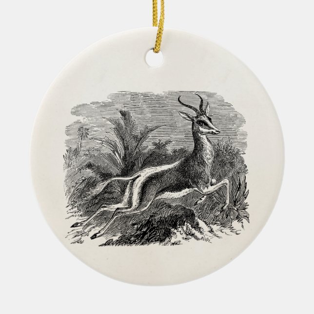 Vintage Springbok-Antilopen-Gazelle personalisiert Keramik Ornament (Vorne)