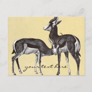 Vintage Springbok Postkarte