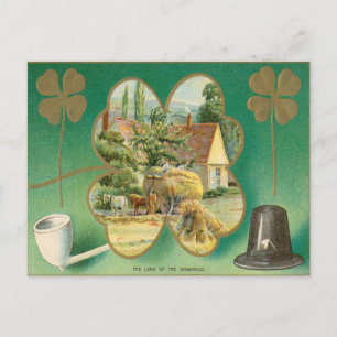Vintage St. Patrick's Day Postkarte
