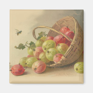 Vintage Stachelbeeren Magnet