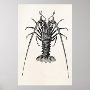 Vintage stacheliger Hummer-personalisierte Poster