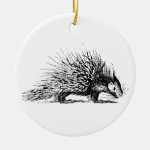 Vintage Stachelschwein-Illustration - Keramikornament