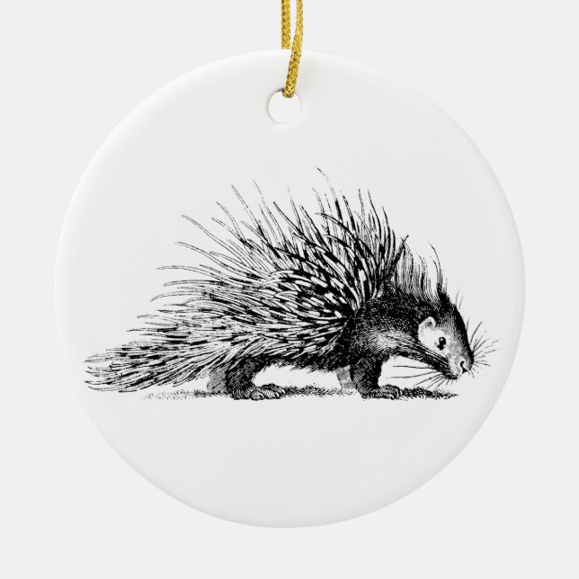 Vintage Stachelschwein-Illustration - Keramikornament (Vorne)