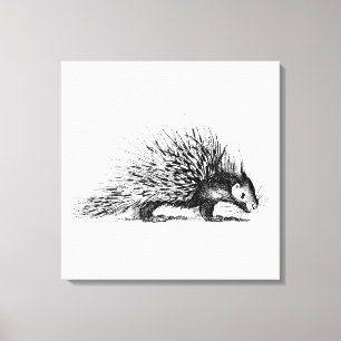 Vintage Stachelschwein-Illustration - Leinwanddruck